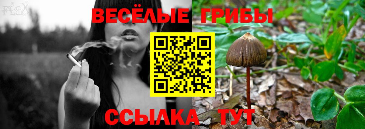 Псилоцибиновые грибы Magic Shrooms  купить закладку  Серпухов  Вход с VPN 